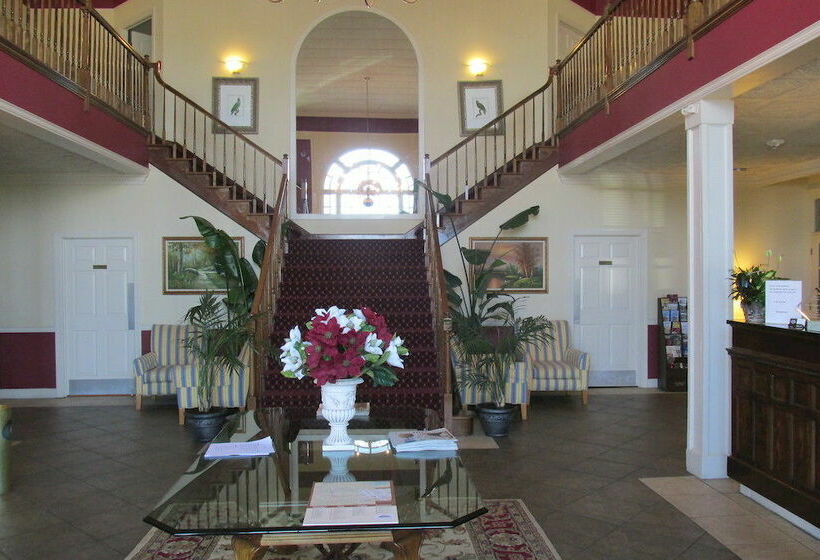 בית מלון כפרי White Columns Inn