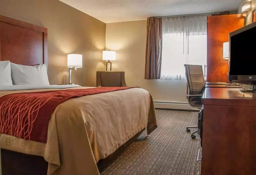 Отель Comfort Inn