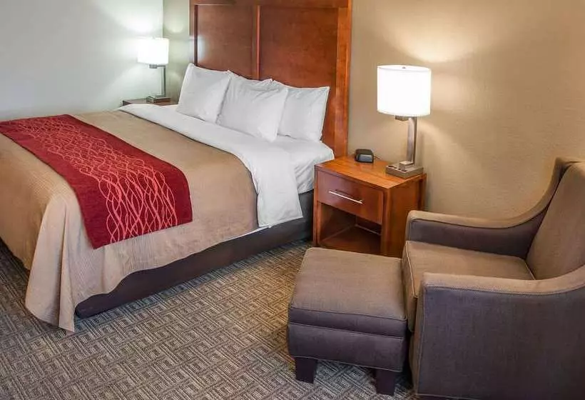Отель Comfort Inn
