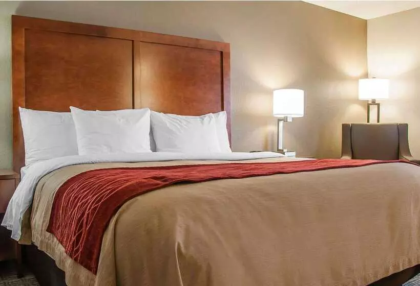 Отель Comfort Inn