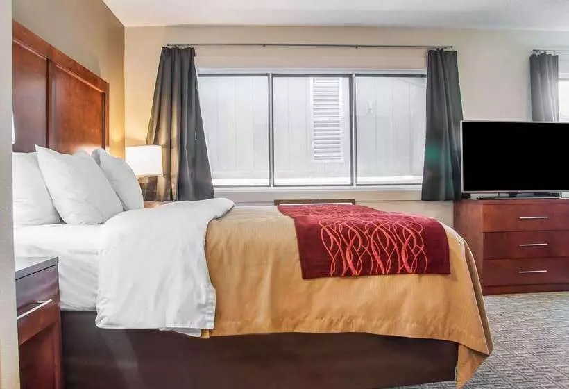 Отель Comfort Inn