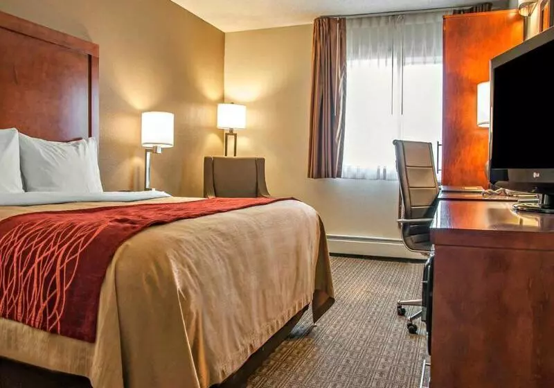 Отель Comfort Inn