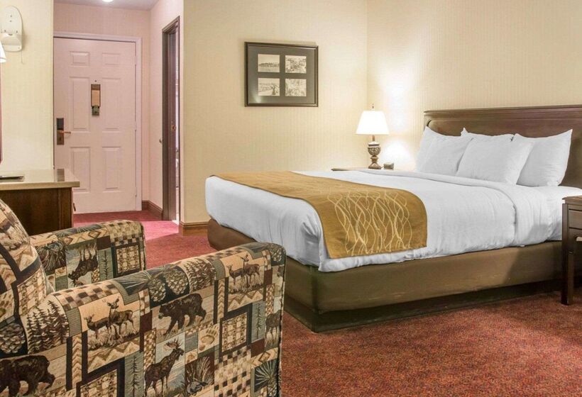 هتل Comfort Inn Lakeside