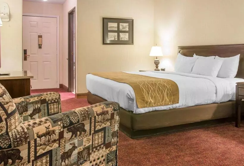 호텔 Comfort Inn Lakeside