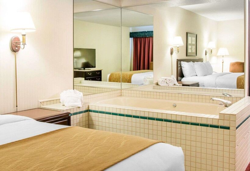 هتل Comfort Inn Lakeside