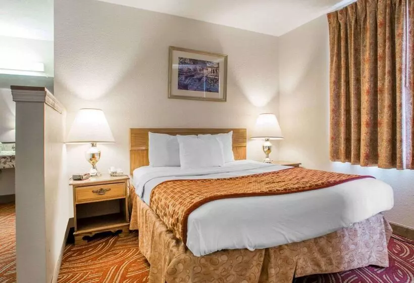 酒店 Econo Lodge Inn & Suites