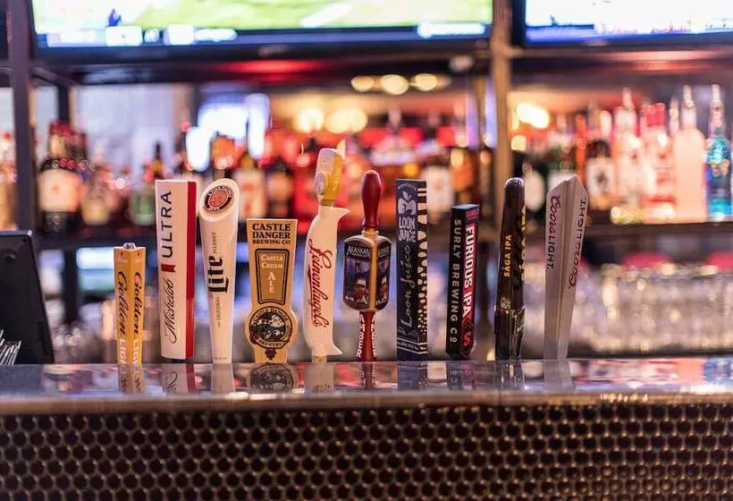 Hotel Holiday Inn St. Paul Downtown, An Ihg