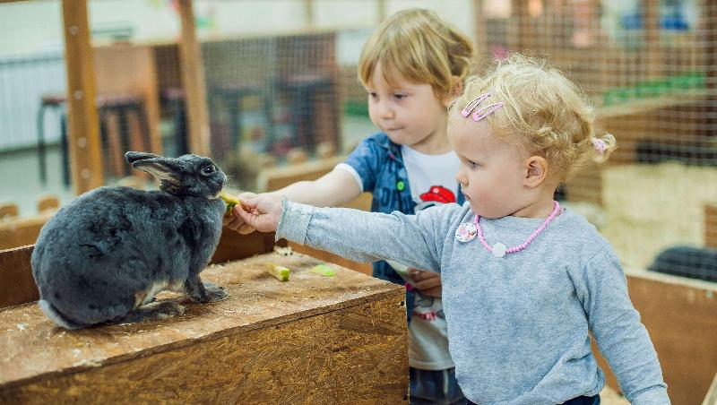 هتل Magnuson East Sandusky