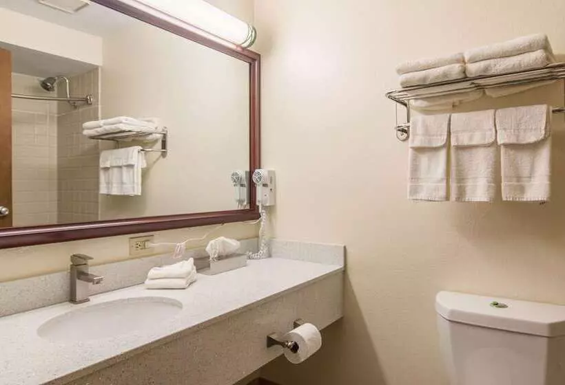 فندق Quality Inn