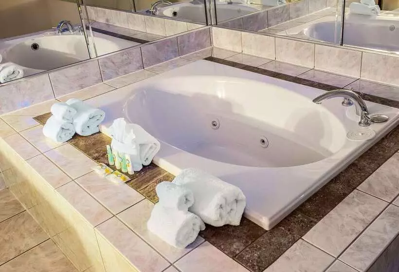 ホテル Quality Inn O'Hare Airport