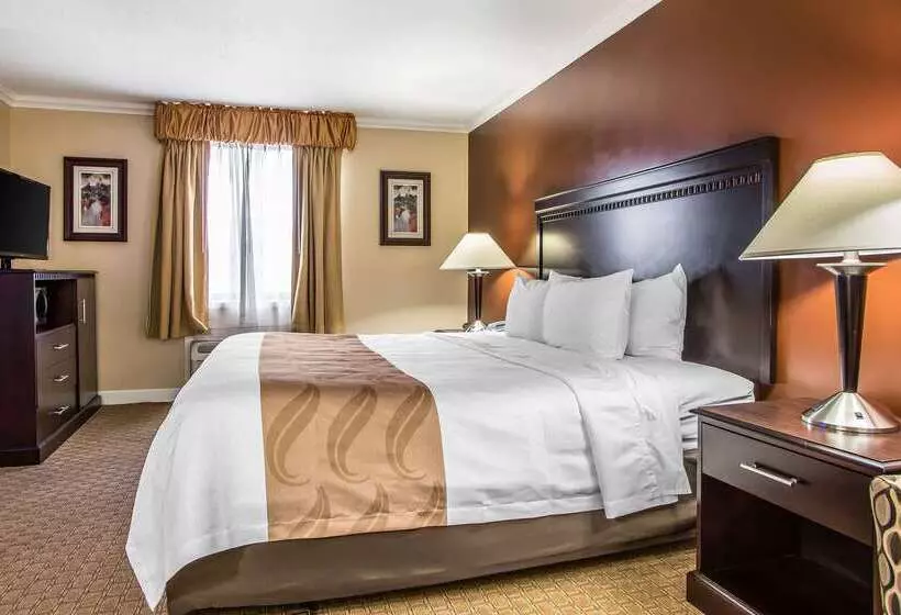 ホテル Quality Inn O'Hare Airport