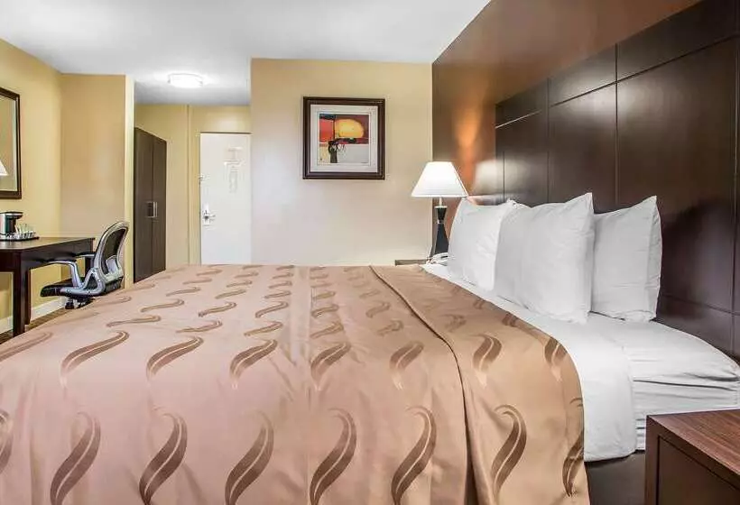 ホテル Quality Inn O'Hare Airport