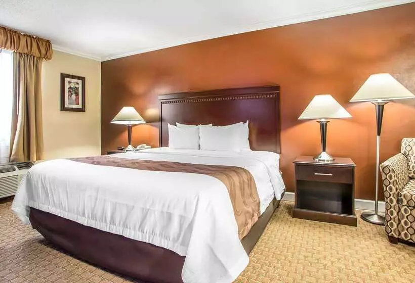 ホテル Quality Inn O'Hare Airport