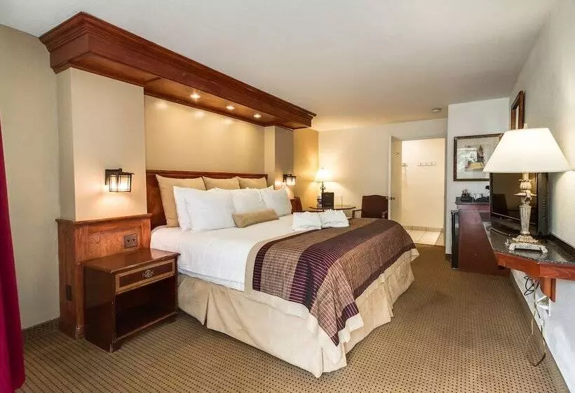 酒店 Twin Peaks Lodge & Hot Springs