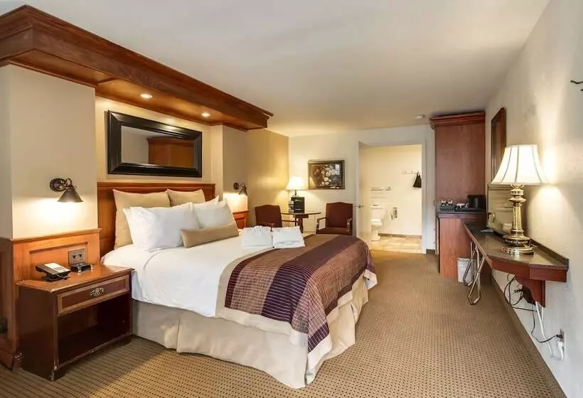 酒店 Twin Peaks Lodge & Hot Springs