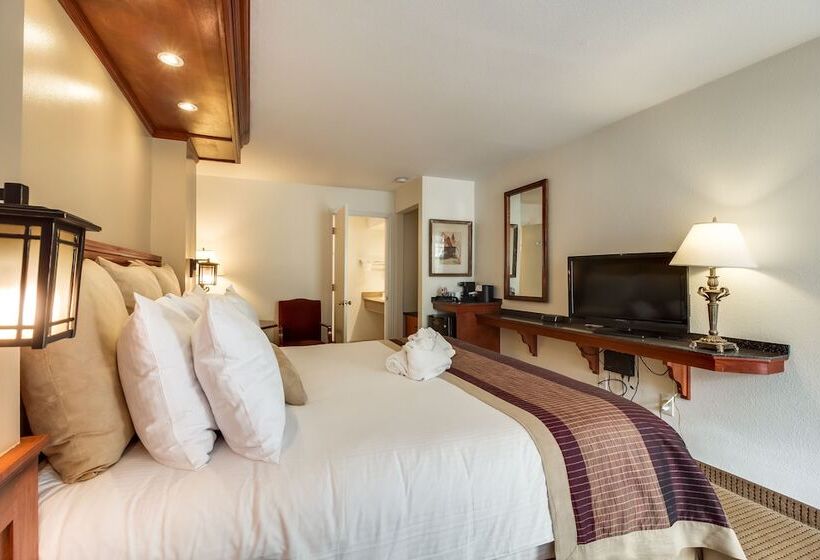 هتل Twin Peaks Lodge & Hot Springs