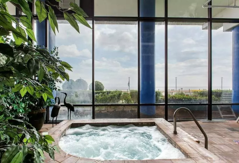 Coastal Hotel & Suites Virginia Beach   Oceanfront