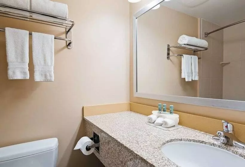 Otel Best Western Braintree Inn