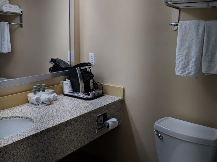 فندق Best Western Braintree Inn