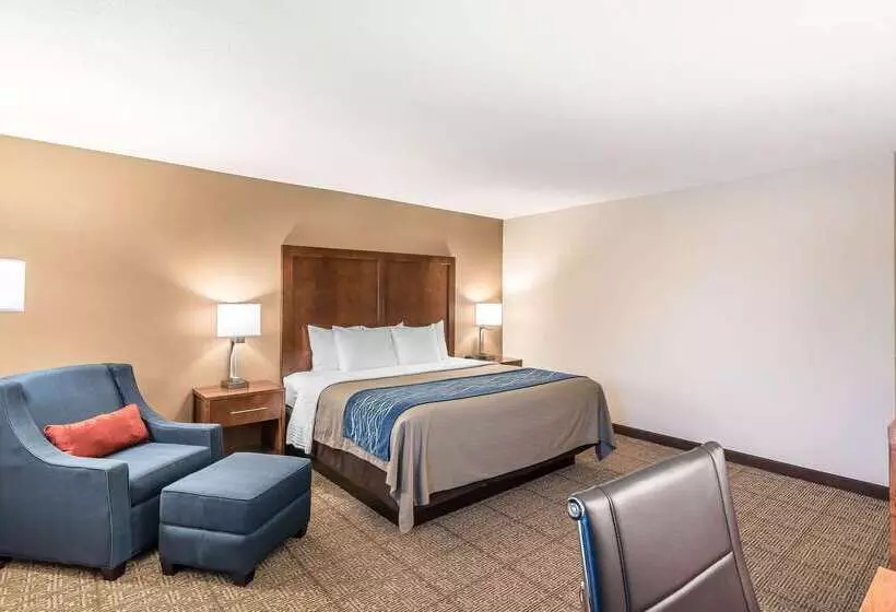 فندق Comfort Inn Concord