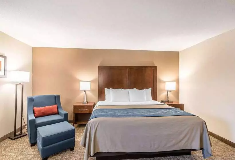 فندق Comfort Inn Concord