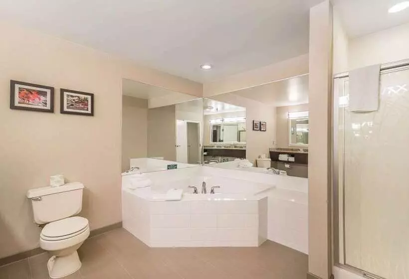 فندق Comfort Inn Concord