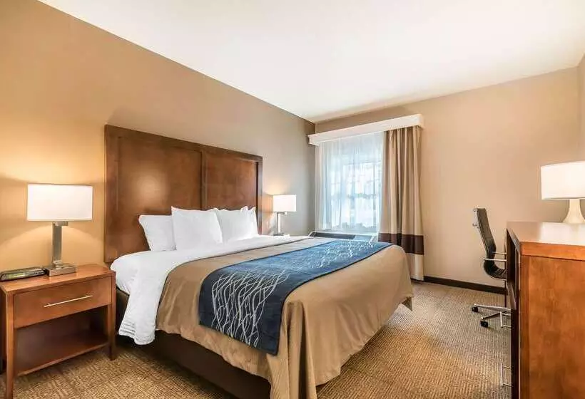 فندق Comfort Inn Concord