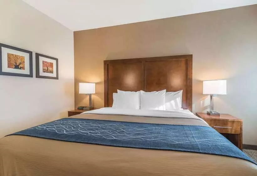 فندق Comfort Inn Concord