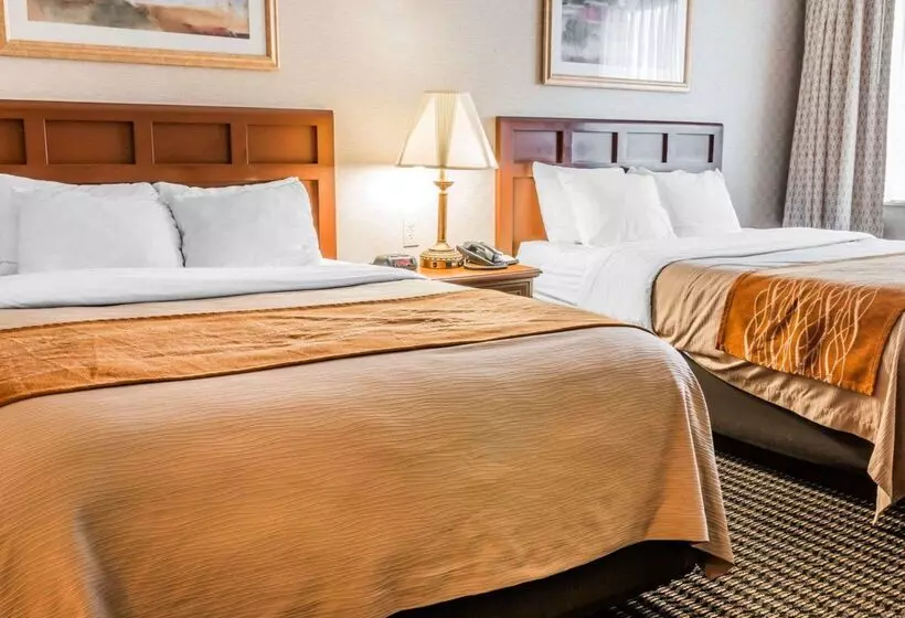 酒店 Comfort Inn Utica