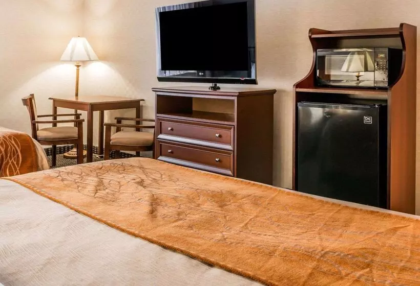 酒店 Comfort Inn Utica