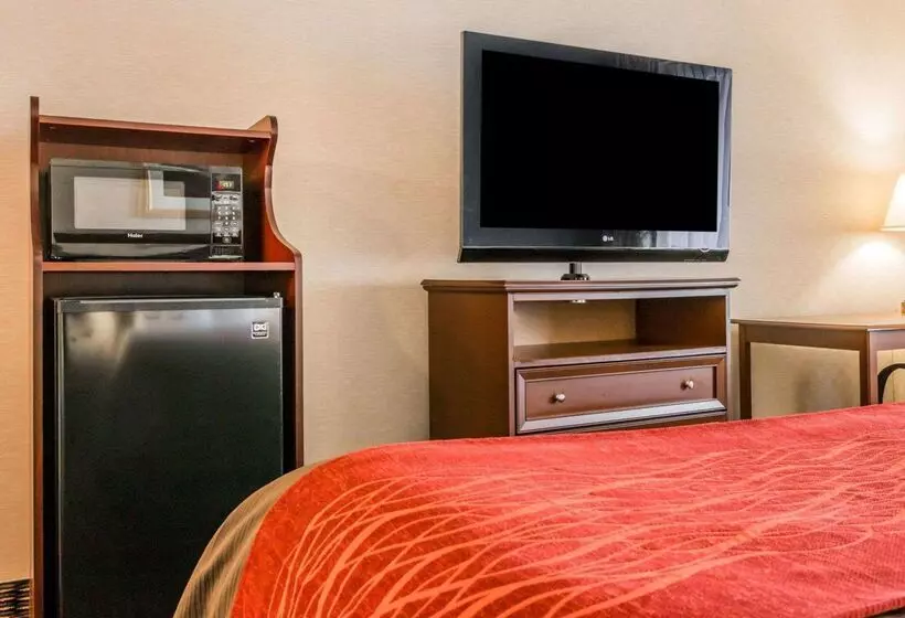 酒店 Comfort Inn Utica