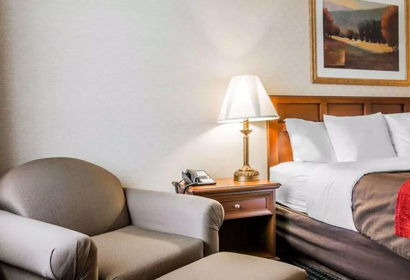 酒店 Comfort Inn Utica