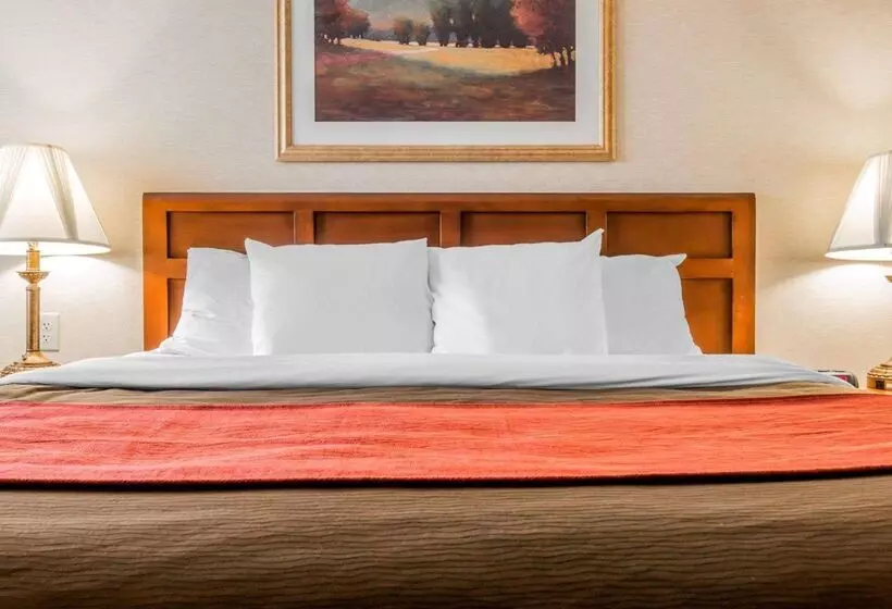 酒店 Comfort Inn Utica