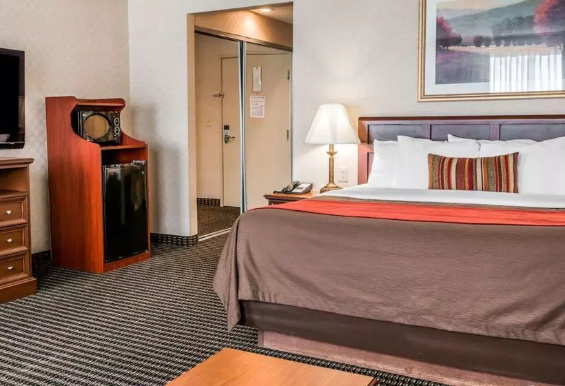 酒店 Comfort Inn Utica