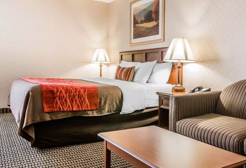 酒店 Comfort Inn Utica
