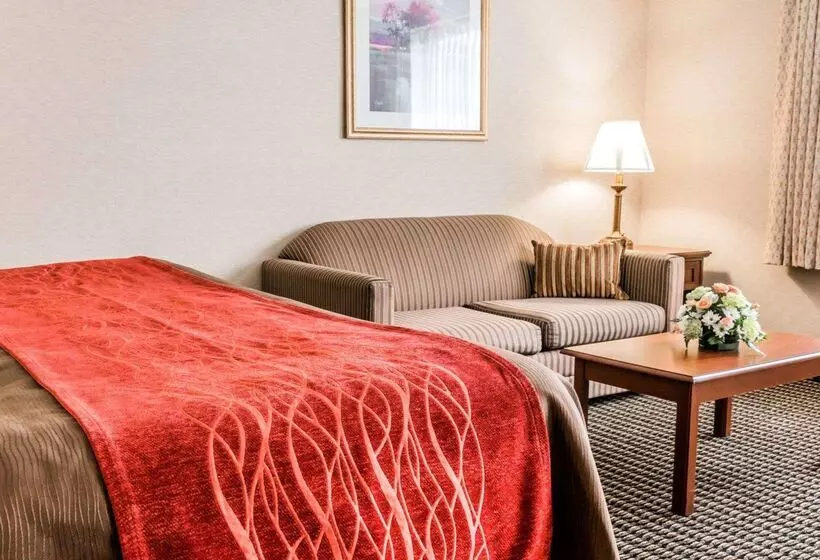 酒店 Comfort Inn Utica