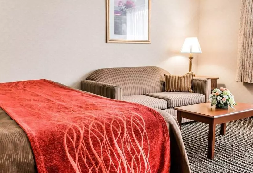 酒店 Comfort Inn Utica