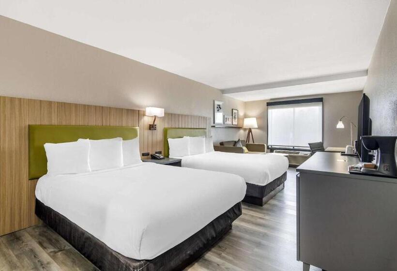 בית מלון כפרי Country Inn & Suites By Radisson, Atlanta Airport South, Ga