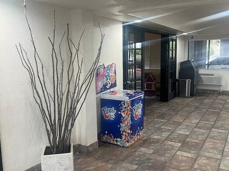 ホテル Ocotillo Apartments &