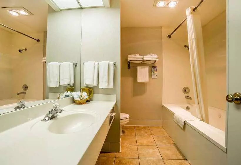 Hotel Quality Inn Payson I15