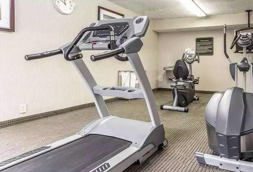 Отель Quality Inn & Suites
