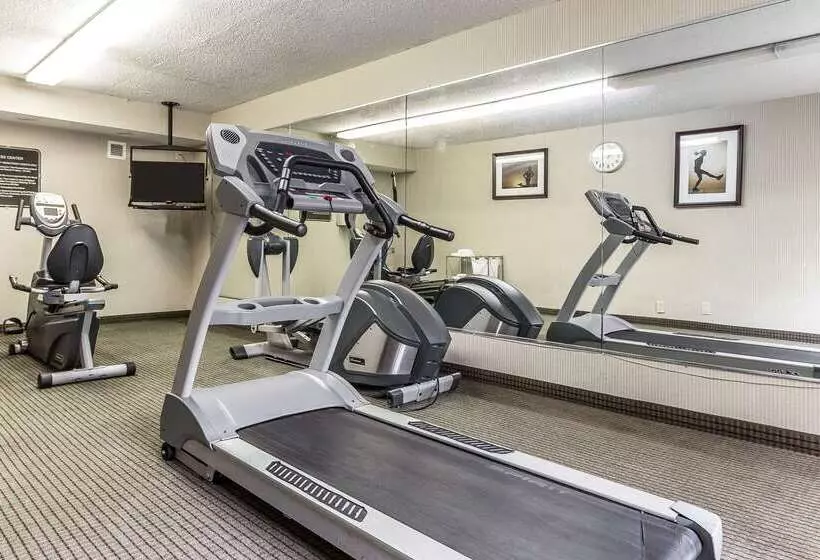 Отель Quality Inn & Suites