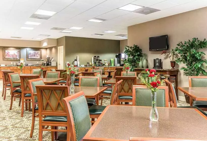 Отель Quality Inn & Suites