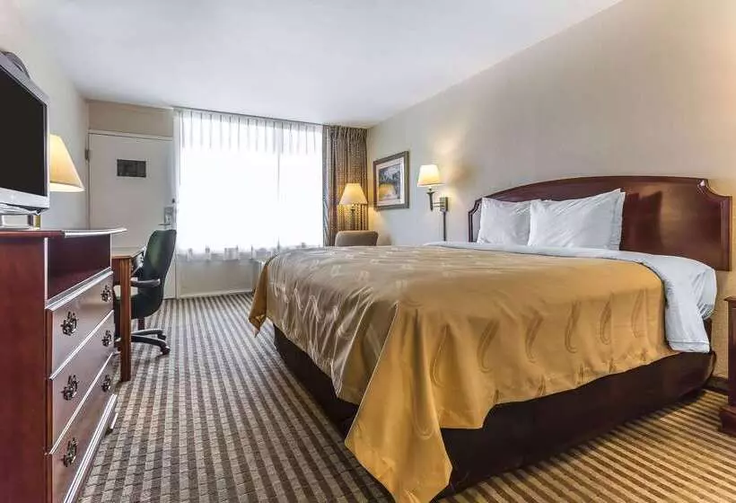 Отель Quality Inn & Suites