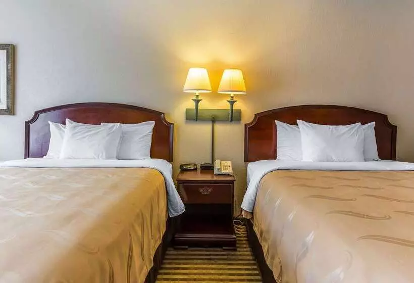Отель Quality Inn & Suites