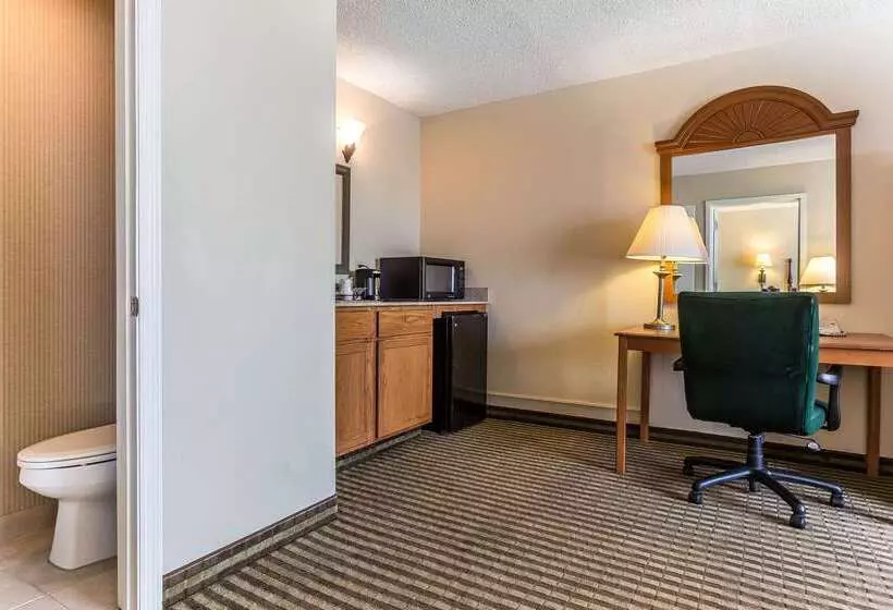 Отель Quality Inn & Suites