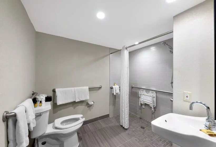 Hotel Best Western Plus Austin Central