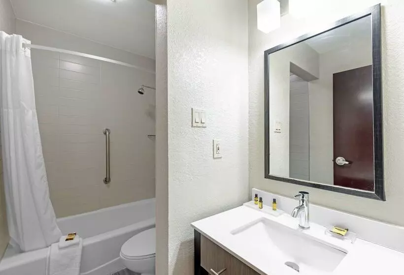 Hotel Best Western Plus Austin Central