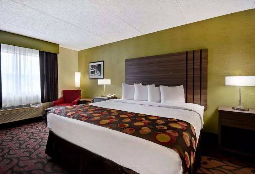 فندق Best Western Rochester Marketplace Inn