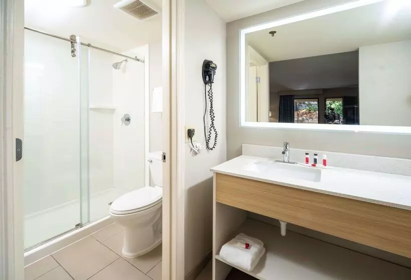 ホテル Days Inn By Wyndham Atlanta Stone Mountain